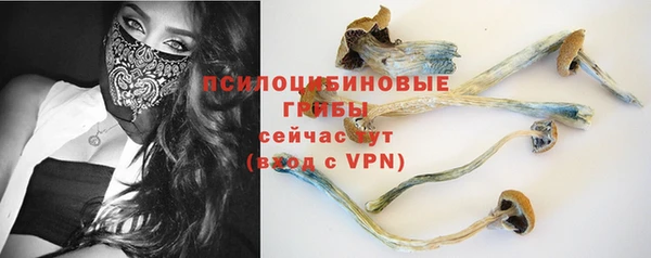 твердый Армянск
