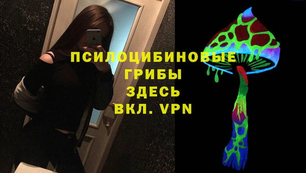 твердый Армянск